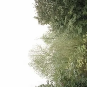 The soul of the rainbow and the harmony of light